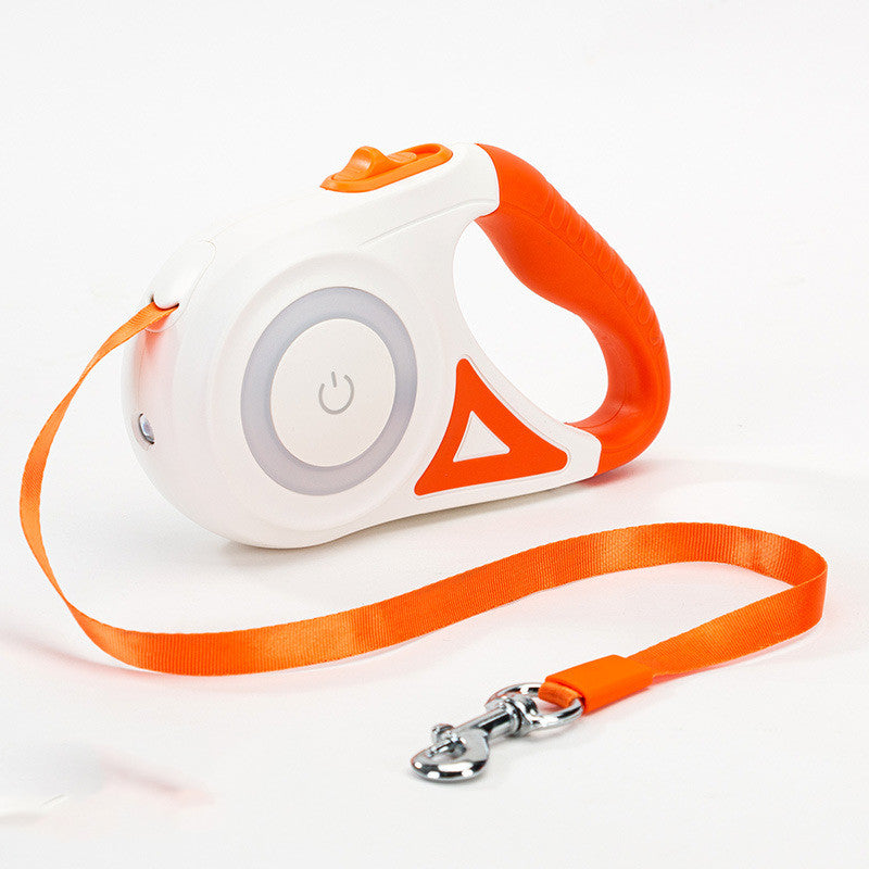 Infällbart Hundkoppel med LED-spotlight & Halsband – Passar Hundar & Katter