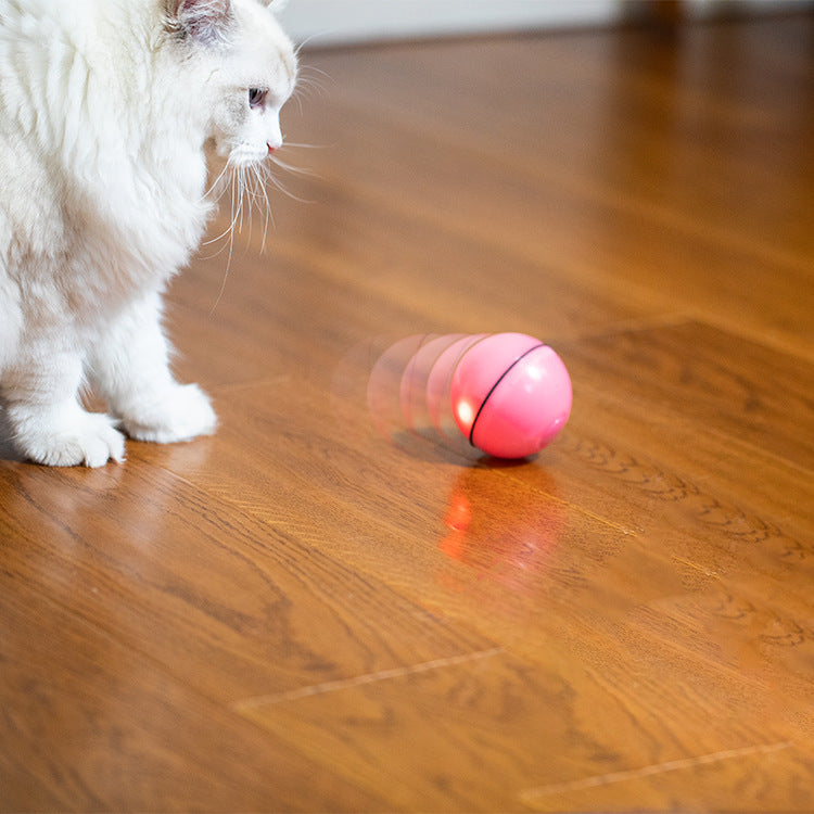 USB Laserleksak för Katter — Automatisk & Rolig