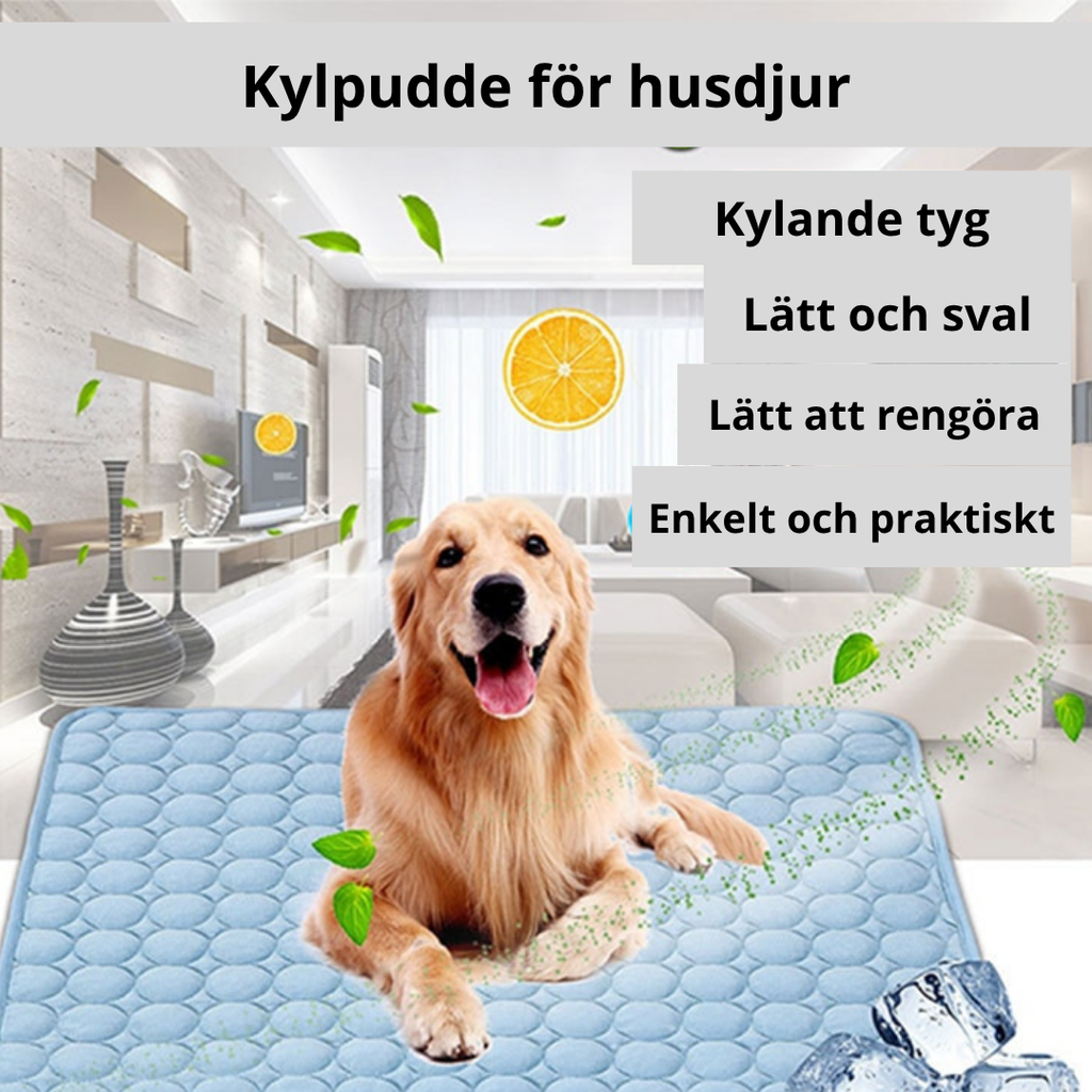 Sommarkylmatta för Husdjur — Håll Din Hund & Katt Sval!