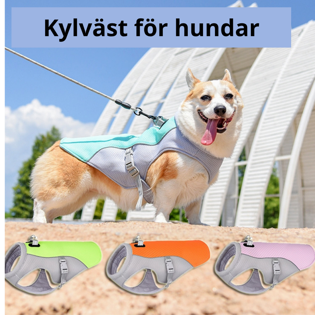 Hundkylväst — Håll Din Hund Sval & Skyddad i Sommarvärmen