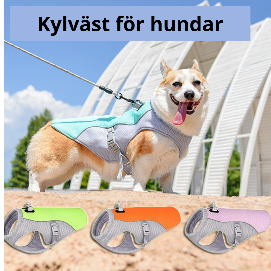 Hundkylväst — Håll Din Hund Sval & Skyddad i Sommarvärmen