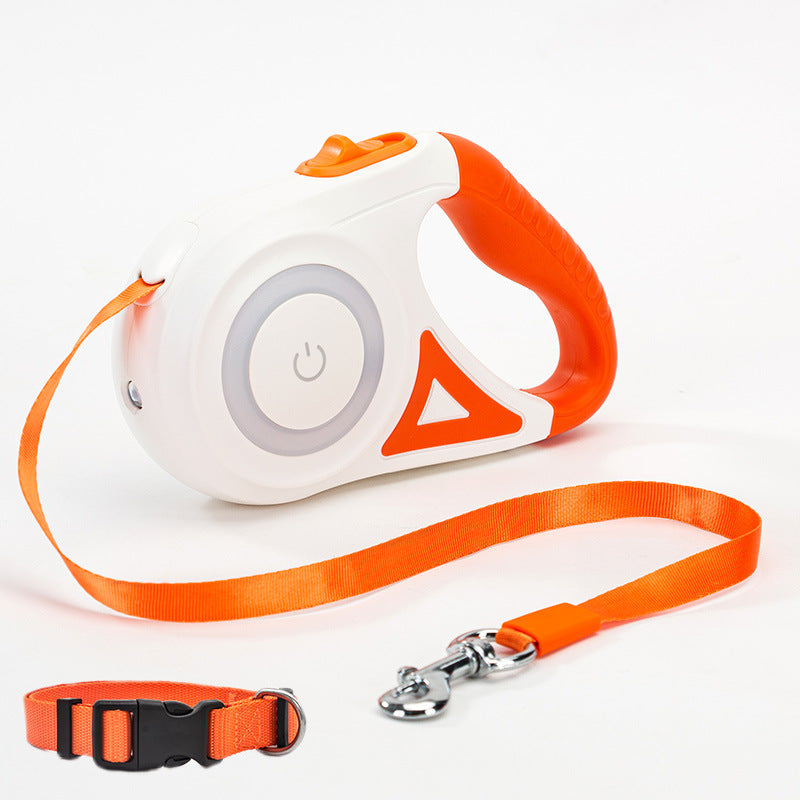 Infällbart Hundkoppel med LED-spotlight & Halsband – Passar Hundar & Katter